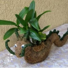 THÚ CẢNH - TOPIARY