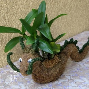 THÚ CẢNH - TOPIARY